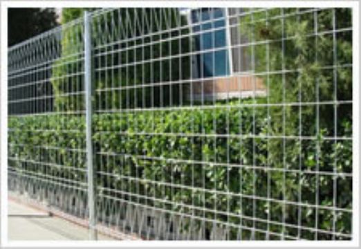 Wire Mesh Fence